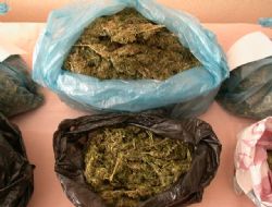 Elmadağ'da Esrar Operasyonu