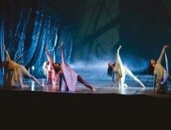 TED'den eğitim seferi devam ediyor