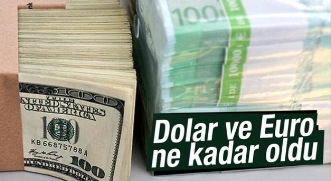 14 Şubat 2017 dolar ve euro ne kadar?