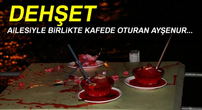 17 yaşınki genç kız bici bici yediği sırada av tüfeğiyle sırtından vurularak ağır yaralandı