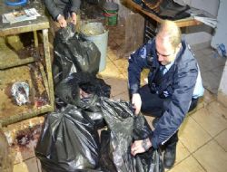 Kaçak kesime para cezası