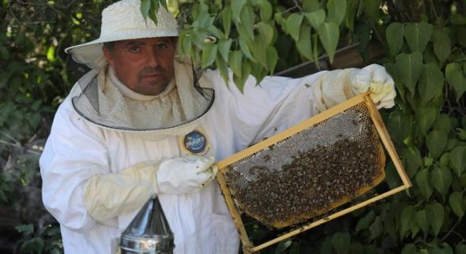 2 bin yetiştiriciye 10 bin arılı kovan
