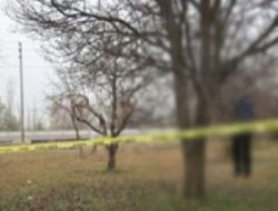 Müdür ağaca asılı şekilde ölü bulundu