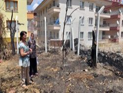 6 aylık köpek, uyuşturu iğneyle öldürüldü