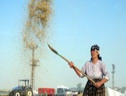 Çiftçi borcuna sağdık