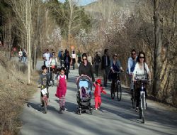 Siyasete Park  Molası