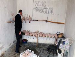 Bir Şentepe skandalı: ‘Tavuk'kondu