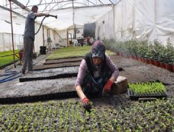 Serakent'te hedef 10 milyon