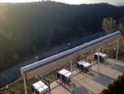 Ormana komşu Adana mutfağı