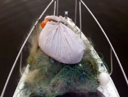 Kaçak ağa şafak baskını