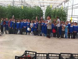 Dönüşüm harekatı