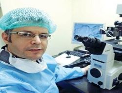 Tüp bebekte östrojene dikkat!