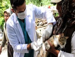 Kuduz aşısı kampanyası başladı