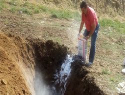 O ilçede kuduz karantinası
