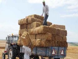 Samana ‘zam' karıştı