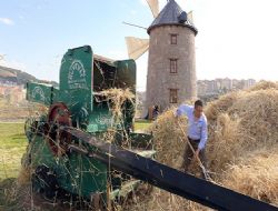 Tersine göç Altındağ'da başladı