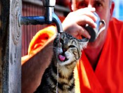 Başkent'e aşırı sıcak uyarısı