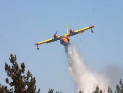 ‘Ateş Kuşları' yuvaya döndü