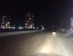 Bağlıca zifiri karanlığa mahkum