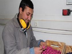 ÇAÇOY'da engel yok üretim var