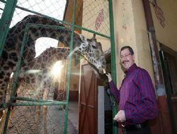 Özhaseki'den Gökçek'e zürafa şakası