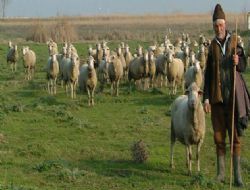 Islah projesine rekor talep geldi