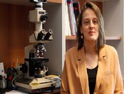 Taramasız evlilikte talasemi tehlikesi