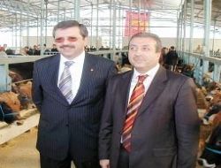 Hayvancılık Ankara'da masaya yatırıldı