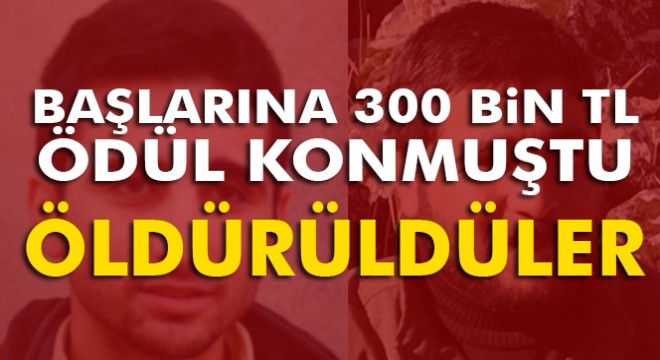 300 bin TL ödülle aranan 2 terörist öldürüldü