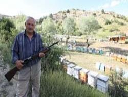 Arıcılar ayı nöbetine çıktı