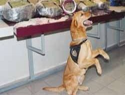 Yılbaşı öncesi huzur operasyonu