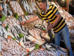 Balıkçılardan Bakanlığa denetim tepkisi