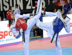 Tekvandoda kupa sınavı