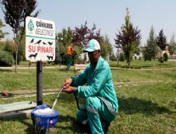 ‘Bir kap su bırakın'