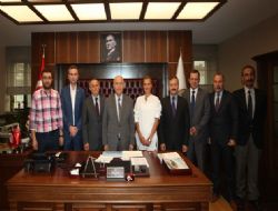 Doğalgazdan elektrik üretecek