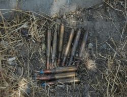 Ağaç dibinde uçaksavar mermileri