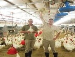 Türk ekonomisinin yüz akı