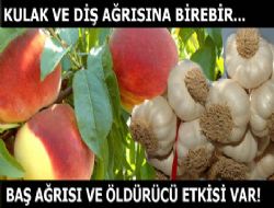 Kulak ve diş ağrısına birebir