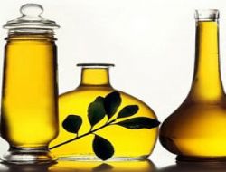Zeytinyağı kalbin ilacı