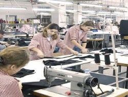 İstihdam için atıl KOBİ'lere destek şart