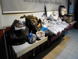 Zehir yuvasına polis baskını