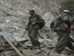 8 PKK'lı örgütten kaçtı