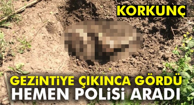 Adana'da ormanlık alanda erkek cesedi bulundu