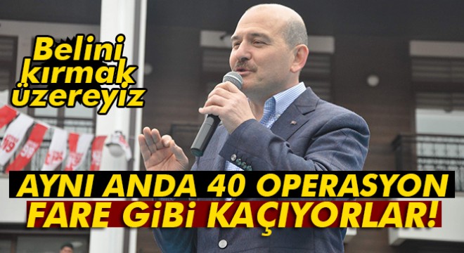 Bakan Soylu: 'Dağ fareleri olarak kaçıyorlar'