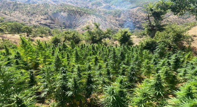 Bingöl'de narko-terör operasyonu