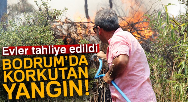 Bodrum'da korkutan yangın! Gözyaşlarına engel olamadılar