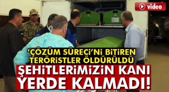 Çözüm Süreci'ni bitiren teröristler öldürüldü