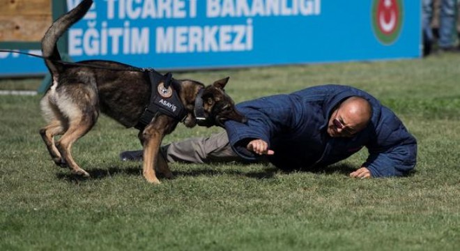 Dedektör köpekler Akyurt'ta yetişecek