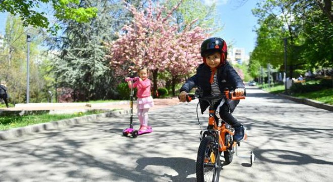 Dikmen Vadisi'nin renkli sakinleri