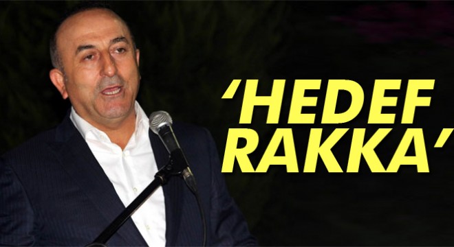 Dışişleri Bakanı Mevlüt Çavuşoğlu: El-Bab'dan sonra hedef Rakka